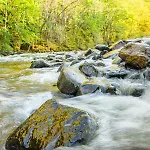 公寓 En Auvergne Le Ruisseau
