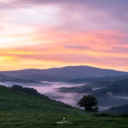 En Auvergne Le Ruisseau *